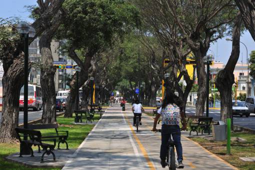 peru Arquitectura al aire libre carril bici;Lima;Perú hombres árbol vida en la ciudad bicicleta