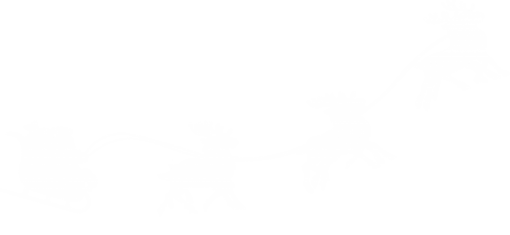 flying  Flying Santa PNG Overlay Clipart