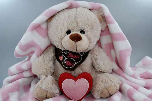 blanket blanket  doll  heart  love  message  romance 