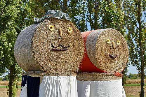 farmland farmland creativity hay decoration handmade straw rural outdoors nature