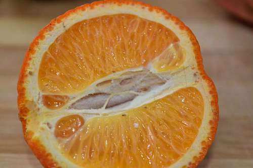 veganism slice citrus half delicious diet tangerine juice fresh tasty vegan 