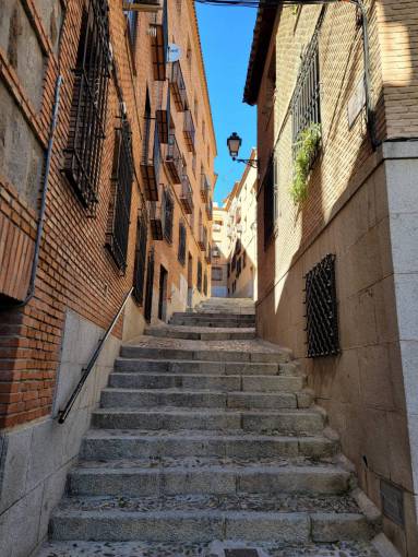 cat Cityscape of Toledo Spain