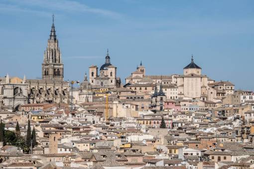 cat Cityscape of Toledo Spain