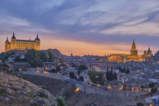 cat Cityscape of Toledo Spain