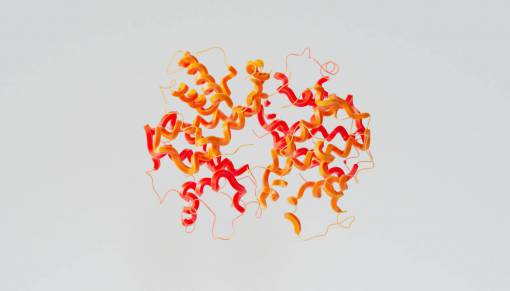 pair DNA structure