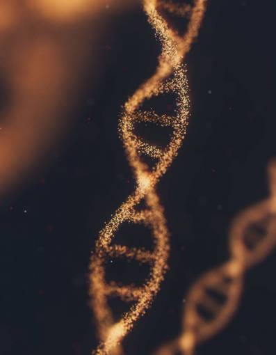 pair DNA structure