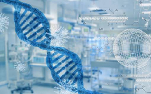 model DNA structure