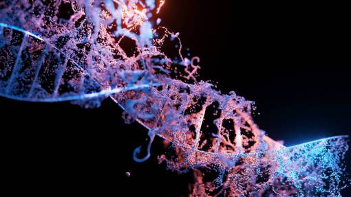 model DNA structure