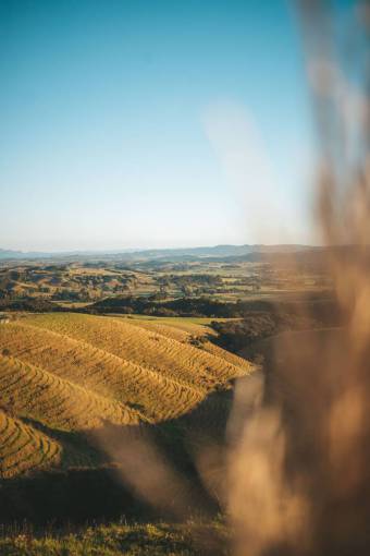 sunrise-dawn nature landscape farm tuscany;landscape outdoors agriculture rural scene