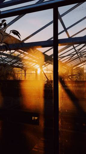 dawn sunset nursery garden;dawn architecture built structure dusk construction industry industry