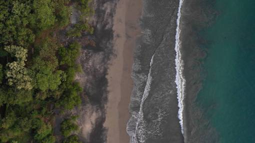 medio ambiente aéreo agua árboles olas naturaleza aire libre bosque