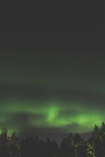 atmosfera aurora verde espacio estrellas cielo atmósfera árbol