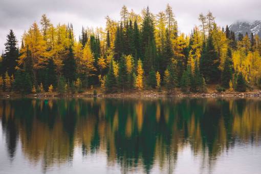 medio ambiente follaje de otoño reflexión agua naturaleza al aire libre nubes