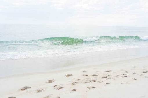 trail beach  sand  waves  wet  ocean  saltwater  nature