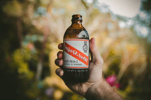 beer-glass beverage  drink  beer  bottle  blur  bokeh  nature