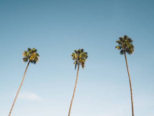 sunshine blue  sky  sunshine  summer  vacation  travel  trip