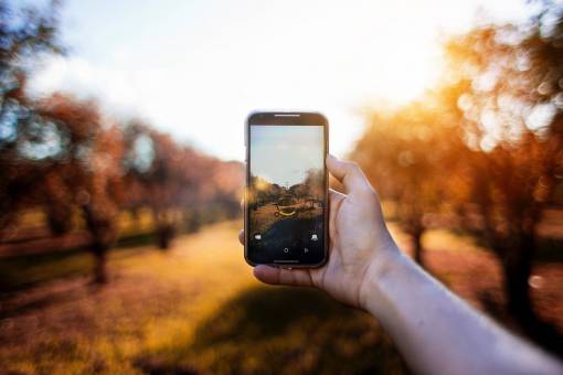 telephone blur  bokeh  autumn  mobile device  telephone  photograph  photo