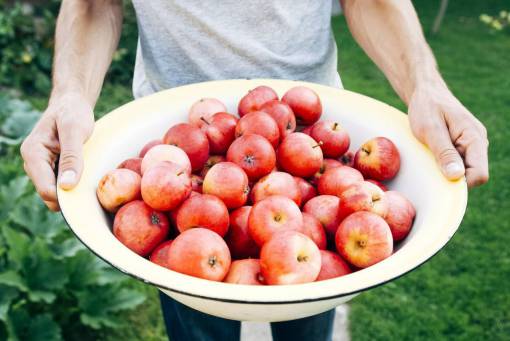 apple tazón de fuente manzanas frutas comida sana chico