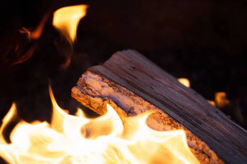 enero fogata madera primer plano llama fuego campamento calor