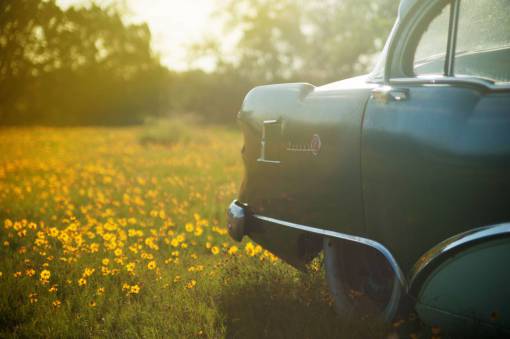 old car  automotive  vintage  oldschool  field  grass  plants
