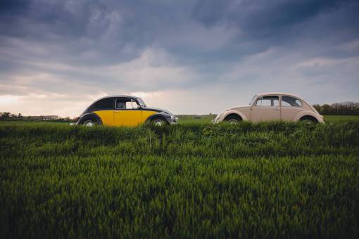 drive cars  drive  road  trip  green  grass  nature
