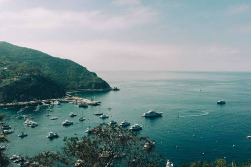 harbor catalina  harbor  boats  ships  yachts  harbour  marina