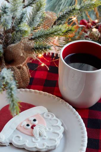 play christmas  santa  cookies  coffee  festive  plate  holiday
