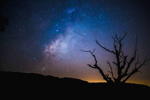 galaxia oscuro cielo nocturno estrellas galaxia naturaleza árbol