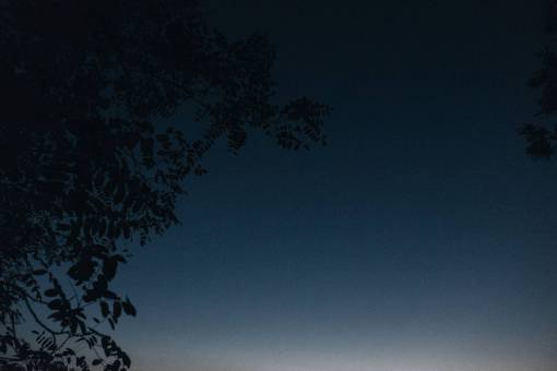tarde anochecer cielo noche oscura tarde árboles silueta