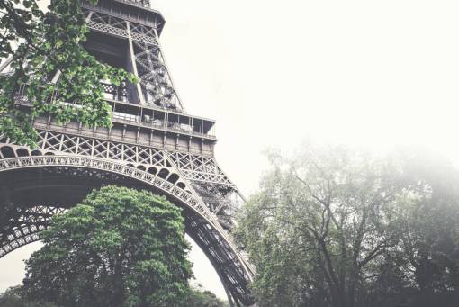 niebla torre eiffel arquitectura árboles hojas naturaleza cielo niebla