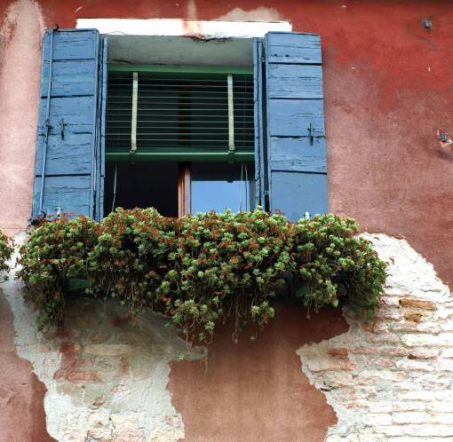 shutter exterior  window  wall  flower  shutters  brick  old