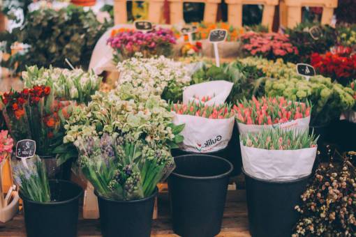 almacenamiento ramo de flores pétalo florecer jardín planta naturaleza