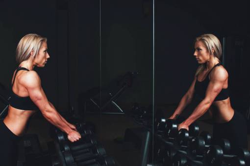 muscle girl  woman  muscles  fitness  weights  gym  exercise