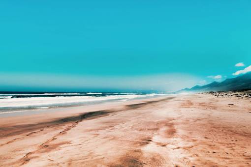 clearing golden  sand  beach  blue sky  clear  travel  vacation