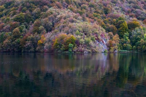 lago lago agua naturaleza montaña paisaje árboles plantas