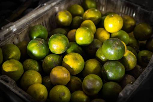 naranja mercado de mandarinas comida orgánica naranja fruta saludable