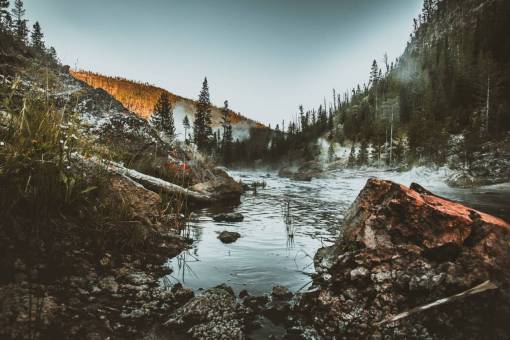 tierra Mañana amanecer brumoso paisaje temprano niebla Yellowstone