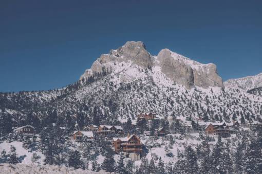cumbre paisaje de montaña pico cumbre nieve árboles pinos