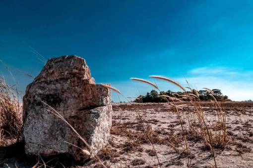 tierra naturaleza desierto tierras secas suelo rocas hierba