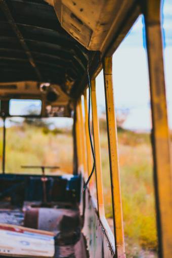 dama naturaleza verde hierba autobús viejo vintage reciclado