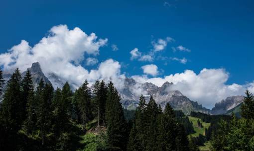 lush nature  landscape  mountains  forests  trees  lush  vegetation