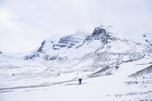 hike nature  landscape  snow  winter  weather  cold  white