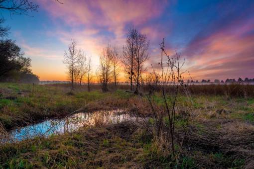 puddle nature  plains  grass  trees  water  stream  puddle