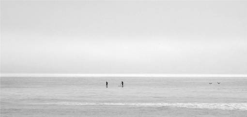 surf-break ocean  sea  horizon  sky  paddle boarding  black and white
