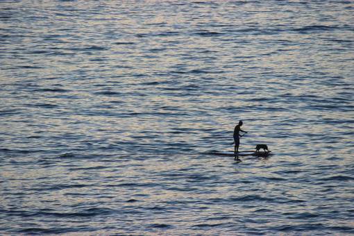 tablero océano puesta de sol persona deporte divertido agua mar