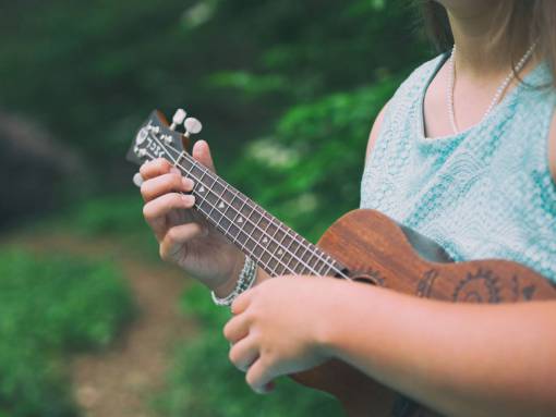 musician people  girl  woman  musical  instrument  musician  play

