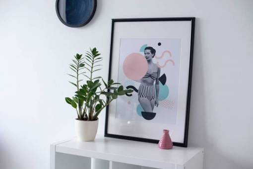 shelf photo  picture  frame  shelf  interior  plant  pot