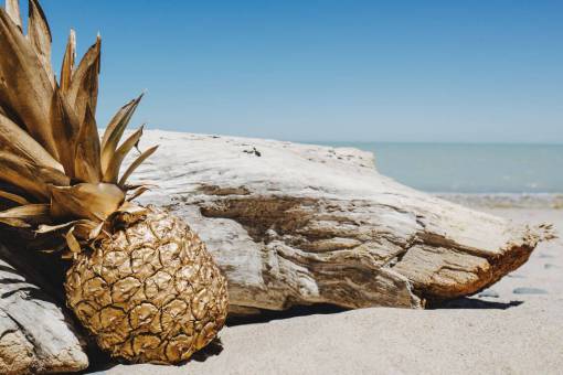 cropped pineapple  dessert  appetizer  fruit  juice  crop  beach