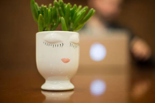contenido planta florero taza de interior botánica decoración ojos