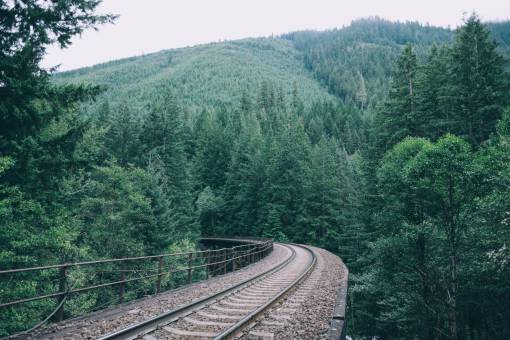track railroad  railway  train tracks  transportation  trees  leaves  branches